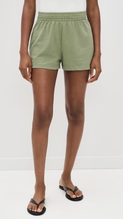 Z Supply Weekender Shorts